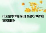 什么是QFII介紹(什么是QFII詳細(xì)情況如何)