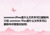 common(files是什么文件夾可以刪除嗎介紹 common files是什么文件夾可以刪除嗎詳細(xì)情況如何)