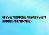 鞋子y碼對應(yīng)中國碼介紹(鞋子y碼對應(yīng)中國碼詳細(xì)情況如何)