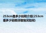 253cm是多少碼鞋介紹(253cm是多少碼鞋詳細情況如何)