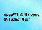 opgg有什么用（opgg是什么簡介介紹）