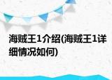 海賊王1介紹(海賊王1詳細情況如何)