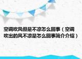 空調(diào)吹風(fēng)但是不涼怎么回事（空調(diào)吹出的風(fēng)不涼是怎么回事簡介介紹）