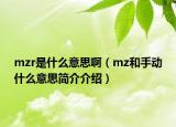 mzr是什么意思?。╩z和手動(dòng)什么意思簡(jiǎn)介介紹）