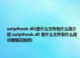 scripthook.dll(是什么文件有什么用介紹 scripthook.dll 是什么文件有什么用詳細(xì)情況如何)