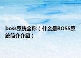 boss系統(tǒng)全稱（什么是BOSS系統(tǒng)簡(jiǎn)介介紹）