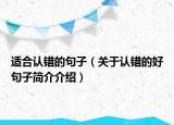 適合認(rèn)錯(cuò)的句子（關(guān)于認(rèn)錯(cuò)的好句子簡(jiǎn)介介紹）