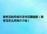 耐冬花的養(yǎng)殖方法與花期施肥（耐冬花怎么養(yǎng)簡介介紹）