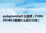 pubgmobile什么意思（PUBGMOBILE是指什么簡(jiǎn)介介紹）