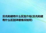 貝殼和螺有什么區(qū)別介紹(貝殼和螺有什么區(qū)別詳細(xì)情況如何)