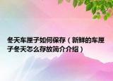 冬天車?yán)遄尤绾伪４妫ㄐ迈r的車?yán)遄佣煸趺创娣藕?jiǎn)介介紹）