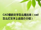 CAD里的文字怎么提出來(lái)（cad怎么打文字上去簡(jiǎn)介介紹）