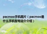 pacmoo手機圖片（pacmoo是什么手機型號簡介介紹）