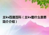 主kv百度百科（主kv是什么意思簡(jiǎn)介介紹）