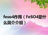 feso4作用（FeSO4是什么簡介介紹）