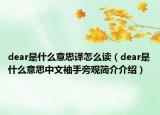 dear是什么意思譯怎么讀（dear是什么意思中文袖手旁觀簡介介紹）