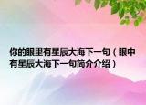 你的眼里有星辰大海下一句（眼中有星辰大海下一句簡(jiǎn)介介紹）