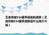 王者榮耀S14賽季是誰的皮膚（王者榮耀S14賽季皮膚是什么簡(jiǎn)介介紹）