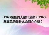 1963屬兔的人是什么命（1963年屬兔的是什么命簡介介紹）