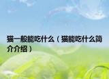 貓一般能吃什么（貓能吃什么簡(jiǎn)介介紹）