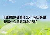 向日葵象征著什么?（向日葵象征著什么意思簡介介紹）