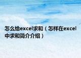 怎么給excel求和（怎樣在excel中求和簡(jiǎn)介介紹）