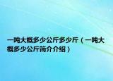 一噸大概多少公斤多少斤（一噸大概多少公斤簡(jiǎn)介介紹）