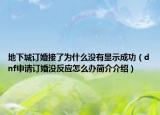 地下城訂婚接了為什么沒有顯示成功（dnf申請訂婚沒反應怎么辦簡介介紹）