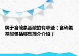 屬于含硫氨基酸的有哪些（含硫氨基酸包括哪些簡(jiǎn)介介紹）