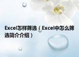 Excel怎樣篩選（Excel中怎么篩選簡介介紹）