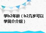 學(xué)b2年齡（b2幾歲可以學(xué)簡介介紹）