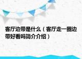 客廳邊帶是什么（客廳走一圈邊帶好看嗎簡介介紹）