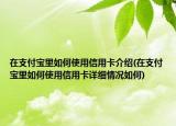 在支付寶里如何使用信用卡介紹(在支付寶里如何使用信用卡詳細(xì)情況如何)