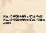 民生人壽保險股份有限公司怎么樣介紹(民生人壽保險股份有限公司怎么樣詳細(xì)情況如何)