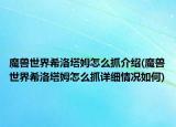 魔獸世界希洛塔姆怎么抓介紹(魔獸世界希洛塔姆怎么抓詳細情況如何)