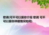 歌詞(可不可以愛你介紹 歌詞 可不可以愛你詳細情況如何)