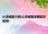 心靈城堡介紹(心靈城堡詳細情況如何)