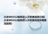 小米MIUI12如何進(jìn)入開(kāi)發(fā)者選項(xiàng)介紹(小米MIUI12如何進(jìn)入開(kāi)發(fā)者選項(xiàng)詳細(xì)情況如何)