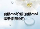 臺(tái)服csol介紹(臺(tái)服csol詳細(xì)情況如何)