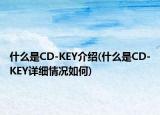 什么是CD-KEY介紹(什么是CD-KEY詳細(xì)情況如何)