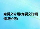 寵愛文介紹(寵愛文詳細情況如何)