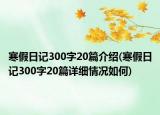 寒假日記300字20篇介紹(寒假日記300字20篇詳細(xì)情況如何)