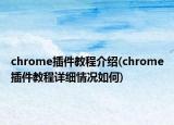 chrome插件教程介紹(chrome插件教程詳細(xì)情況如何)