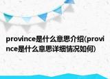 province是什么意思介紹(province是什么意思詳細情況如何)