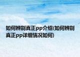 如何辨別真正pp介紹(如何辨別真正pp詳細(xì)情況如何)