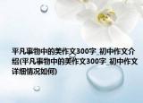 平凡事物中的美作文300字_初中作文介紹(平凡事物中的美作文300字_初中作文詳細(xì)情況如何)