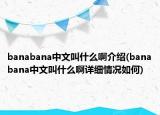 banabana中文叫什么啊介紹(banabana中文叫什么啊詳細情況如何)