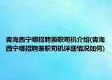 青海西寧哪招聘兼職司機(jī)介紹(青海西寧哪招聘兼職司機(jī)詳細(xì)情況如何)