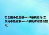 怎么用小魚重裝win8系統(tǒng)介紹(怎么用小魚重裝win8系統(tǒng)詳細(xì)情況如何)