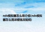 nds模擬器怎么用介紹(nds模擬器怎么用詳細(xì)情況如何)